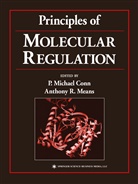 Michael Conn, P. Michael Conn, Anthony R. Means, Michael Conn, P Michael Conn, R Means... - Principles of Molecular Regulation