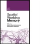 Andre (University of Ghent Vandierendonck, Andre Szmalec Vandierendonck, VANDIERENDONCK ANDRE SZMALEC ARN, Arnaud Szmalec, Szmalec Arnaud, Andr Vandierendonck... - Spatial Working Memory