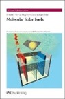 Thomas J (The Australian National Univ Wydrzynski, Thomas J Hillier Wydrzynski, Thomas J. Wydrzynski, Thomas J. (Australian National Univers Wydrzynski, Warwick Hillier, Warwick (The Australian National University Hillier... - Molecular Solar Fuels