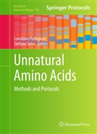 Loredan Pollegioni, Loredano Pollegioni, Servi, Servi, Stefano Servi - Unnatural Amino Acids