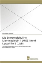 Dino Illanes Céspedes - Die Sekretoglobuline Mammaglobin 1 (MGB1) und Lipophilin B (LipB)