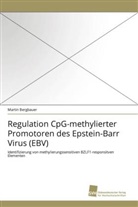 Martin Bergbauer - Regulation CpG-methylierter Promotoren des Epstein-Barr Virus (EBV)