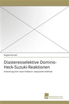 Brigitte Richrath - Diastereoselektive Domino-Heck-Suzuki-Reaktionen