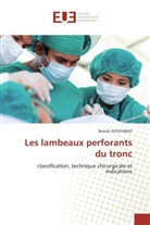 Benoit AYESTARAY, Ayestaray-B - Les lambeaux perforants du tronc