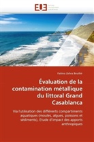 Fatima Zohra Bouthir, Bouthir-F - Evaluation de la contamination
