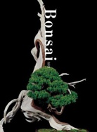 Kunio Kobayashi - Bonsai