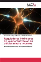 Isabel Fariñas Gómez, Sacrament Rodríguez Ferrón, Sacramento Rodríguez Ferrón - Reguladores intrínsecos de la autorenovación en células madre neurales