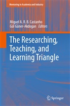 Migue A R B Castanho, Miguel A R B Castanho, Miguel Castanho, Miguel A. R. B. Castanho, Guner, Guner... - The Researching, Teaching, and Learning Triangle