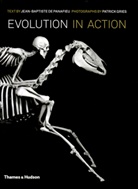 Jean-Baptiste de Panafieu, DePanafieu, Patrick Gries, Jean-Baptiste de Panafieu, James Sherwood, Patrick Gries - Evolution in Action 2nd ed. : Natural History through Spectacular Skeletons