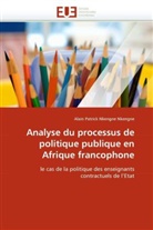 Alain Patrick Nkengne Nkengne, Nkengne Nkengne-A - Analyse du processus de politique