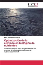 María Victoria Ruano García - Optimización de la eliminación biológica de nutrientes