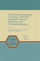 Harm G Schröter, Ernst Homburg, Anthon S Travis, Anthony S Travis, Harm G. Schroter, Harm G. Schröter... - The Chemical Industry in Europe, 1850-1914