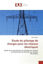 Didier Boëda, Boeda-D - Etude du pilotage de charges pour