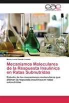 Maria L. Gavete Lozano, MARIA LUCIA GAVETE LOZANO - Mecanismos Moleculares de la Respuesta Insulínica en Ratas Subnutridas