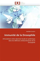 Mathilde Gendrin, Gendrin-M - Immunite de la drosophile