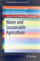 Víctor Durán-Zuazo, Víctor Hugo Durán-Zuazo, Iván Francisc García-Tejero, Iván Francisco García-Tejero, José Luis Muriel-Fernández, Carmen Rocío Rodríguez-Pleguezuelo - Water and Sustainable Agriculture