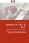 Aurélien A AHOLOUKPE, Aurélien A. AHOLOUKPE, Aholoukpe-A - Paludisme et culture au benin
