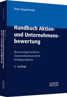 Peter Seppelfricke - Handbuch Aktien- und Unternehmensbewertung
