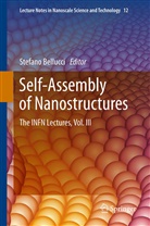Stefan Bellucci, Stefano Bellucci - Self-Assembly of Nanostructures