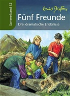Enid Blyton, Silvia Christoph - Fünf Freunde - Drei dramatische Erlebnisse