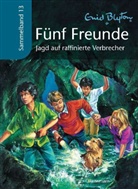 Enid Blyton, Silvia Christoph - Fünf Freunde - Jagd auf raffinierte Verbrecher