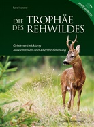 Pavel Scherer - Die Trophäe des Rehwildes