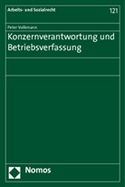 Peter Volkmann - Konzernverantwortung und Betriebsverfassung