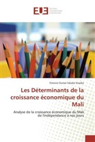 Fakaba sissoko-e, Etienne Oumar Fakaba Sissoko - Les determinants de la croissance