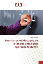 Zahir MEKSEM, Meksem-z - Pour la sociodidactique de la