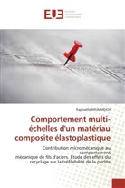 Raphaëlle Krummeich, Krummeich-r - Comportement multi echelles d un