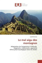 Cyrille Bouton, Bouton-c - Le mal aigu des montagnes