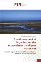 Abdeljaouad Lakhdar Idrissi, Lakhdar idrissi-a - Fonctionnement et organisation