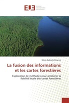 Maria Gabriela Orzanco, Orzanco-m - La fusion des informations et les
