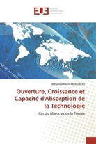 Mohamed-Karim Abdellaoui, Abdellaoui-m - Ouverture, croissance et capacite