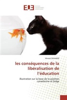 Ahmed Seghaier, Seghaier-a - Les consequences de la