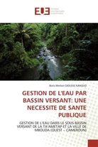 Boris M. Djousse Kanouo, Boris Merlain DJOUSSE KANOUO, Djousse kanouo-b - Gestion de l eau par bassin