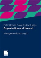 Pete Conrad, Peter Conrad, Sydow, Sydow, Jörg Sydow - Organisation und Umwelt