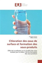 Zidane Fatiha, Cheggar Karima, Cheggari Karima - Chloration des eaux de surface et