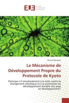Vincent Bouquet, Bouquet-v - Le mecanisme de developpement
