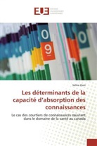 Saliha Ziam, Ziam-s - Les determinants de la capacite d