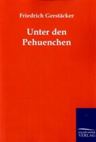 Friedrich Gerstäcker - Unter den Pehuenchen