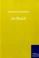 Friedrich Gerstäcker - Im Busch