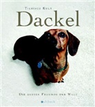 Christine Paxmann - Dackel