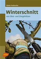 Günter Pardatscher, Günter                    10000053931 Pardatscher - Winterschnitt