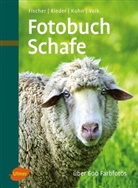 Gerhar Fischer, Gerhard Fischer, Regina Kuhn, Hug Rieder, Hugo Rieder, Fridhelm Volk... - Fotobuch Schafe