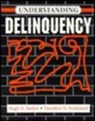 Hugh D. Barlow, Theodore N. Ferdinand - Understanding Delinquency