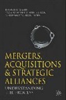 Chris Brown, Emanue Gomes, Emanuel Gomes, Emanuel Weber Gomes, Gomes Emanuel, Shlomo Yedid Tarba... - Mergers, Acquisitions and Strategic Alliances