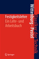 Jens Wittenburg - Festigkeitslehre