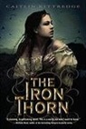 Caitlin Kittredge - The Iron Thorn