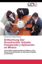 Yolanda Alicia Villegas González - Drittwirkung Der Grundrechte: Estudio Comparado y Aplicación en México